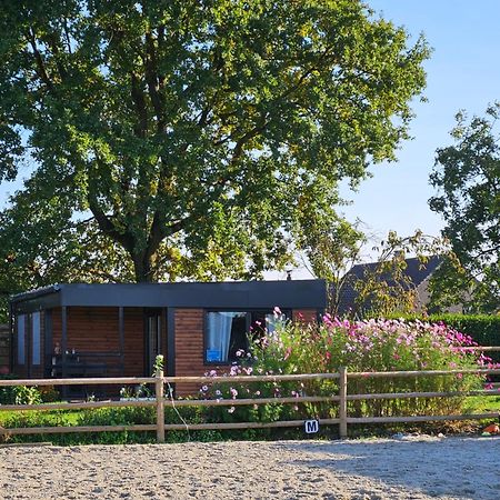 Houten Huisje Tussen Paarden Nieuwerkerken Ngoại thất bức ảnh