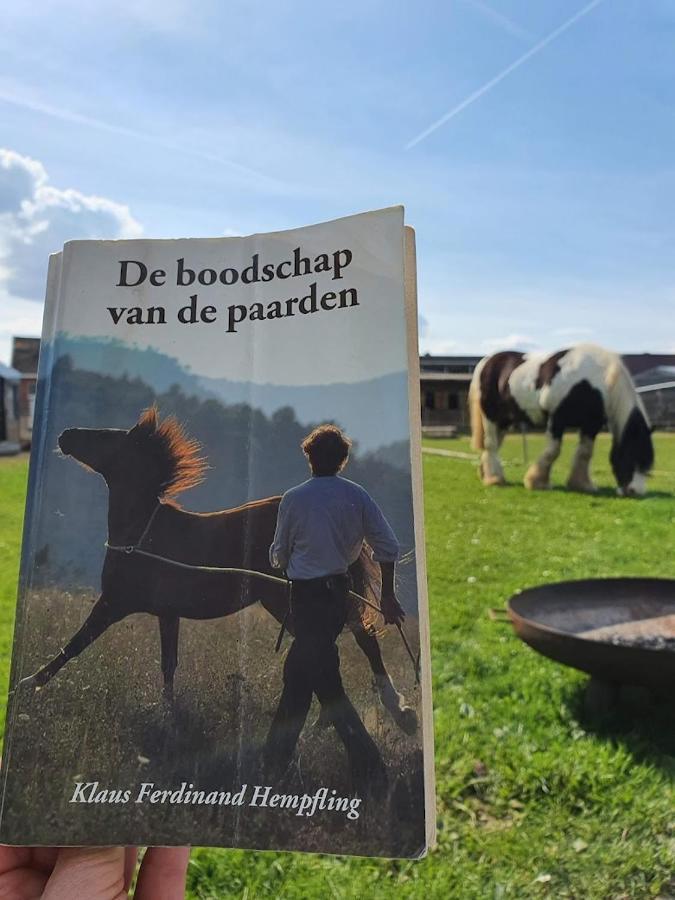 Houten Huisje Tussen Paarden Nieuwerkerken Ngoại thất bức ảnh