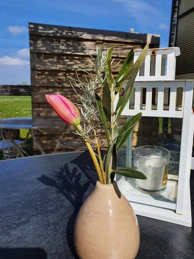 Houten Huisje Tussen Paarden Nieuwerkerken Ngoại thất bức ảnh