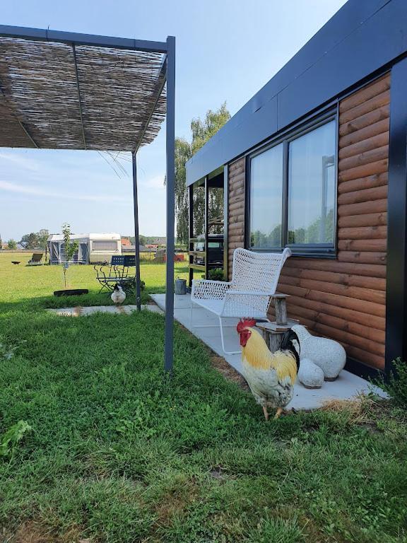 Houten Huisje Tussen Paarden Nieuwerkerken Ngoại thất bức ảnh