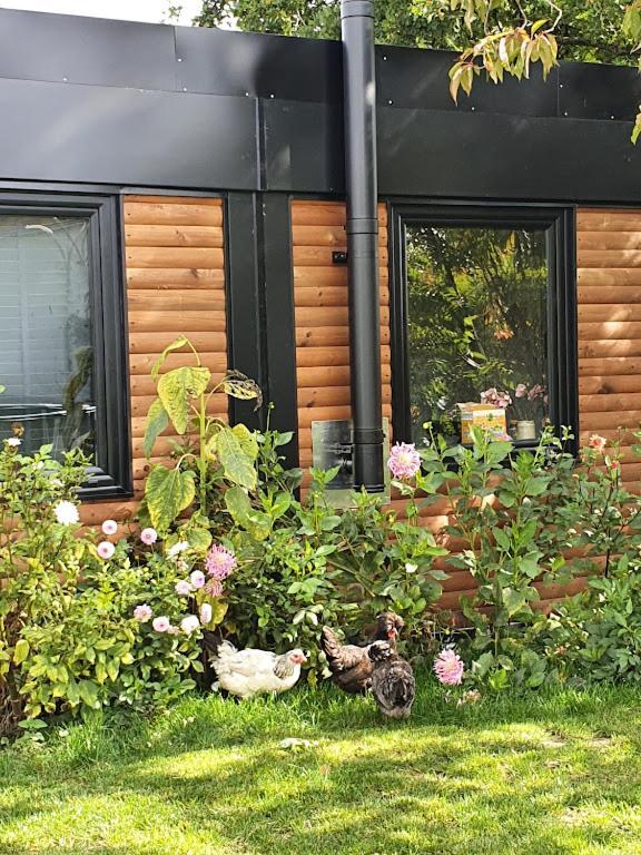 Houten Huisje Tussen Paarden Nieuwerkerken Ngoại thất bức ảnh