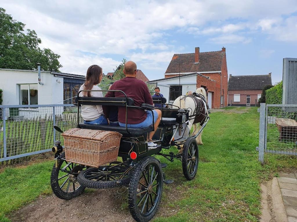Houten Huisje Tussen Paarden Nieuwerkerken Ngoại thất bức ảnh