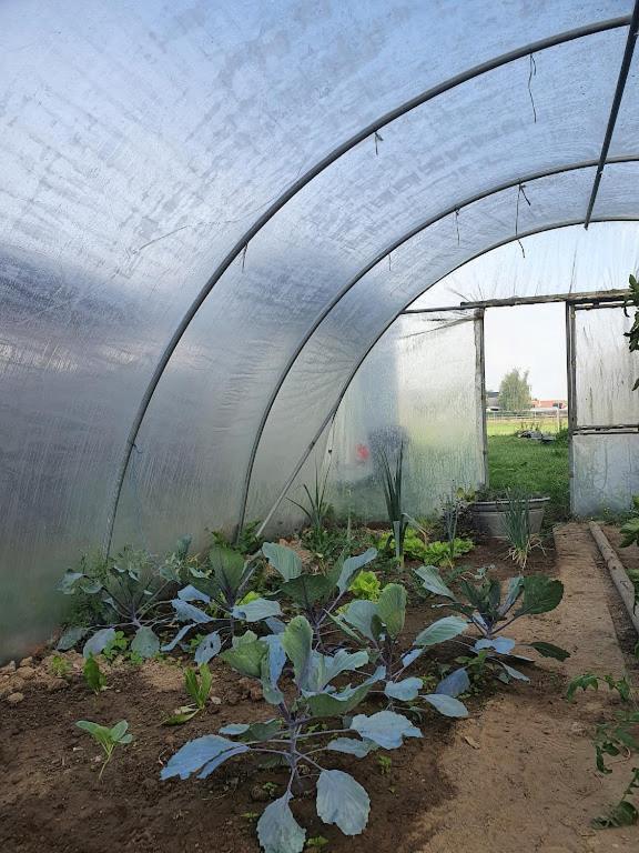 Houten Huisje Tussen Paarden Nieuwerkerken Ngoại thất bức ảnh