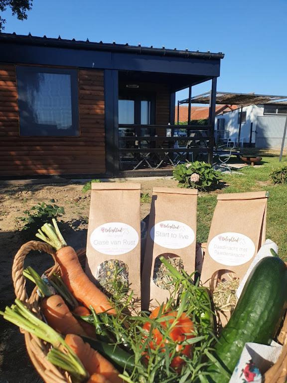 Houten Huisje Tussen Paarden Nieuwerkerken Ngoại thất bức ảnh
