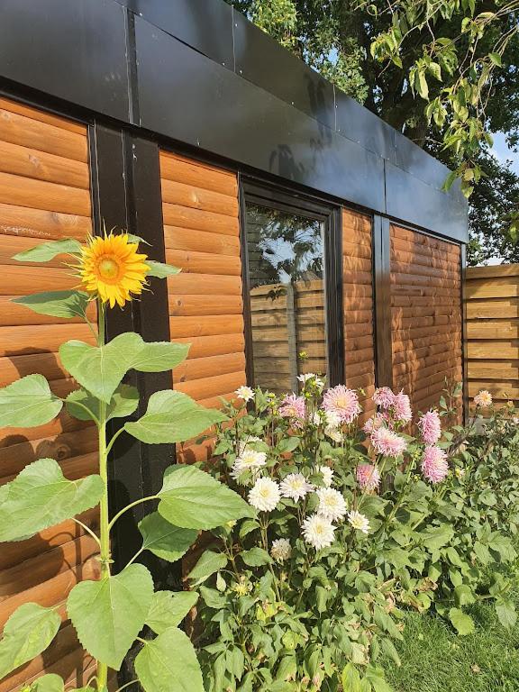Houten Huisje Tussen Paarden Nieuwerkerken Ngoại thất bức ảnh
