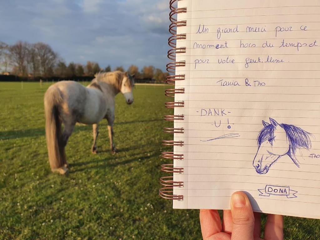 Houten Huisje Tussen Paarden Nieuwerkerken Ngoại thất bức ảnh
