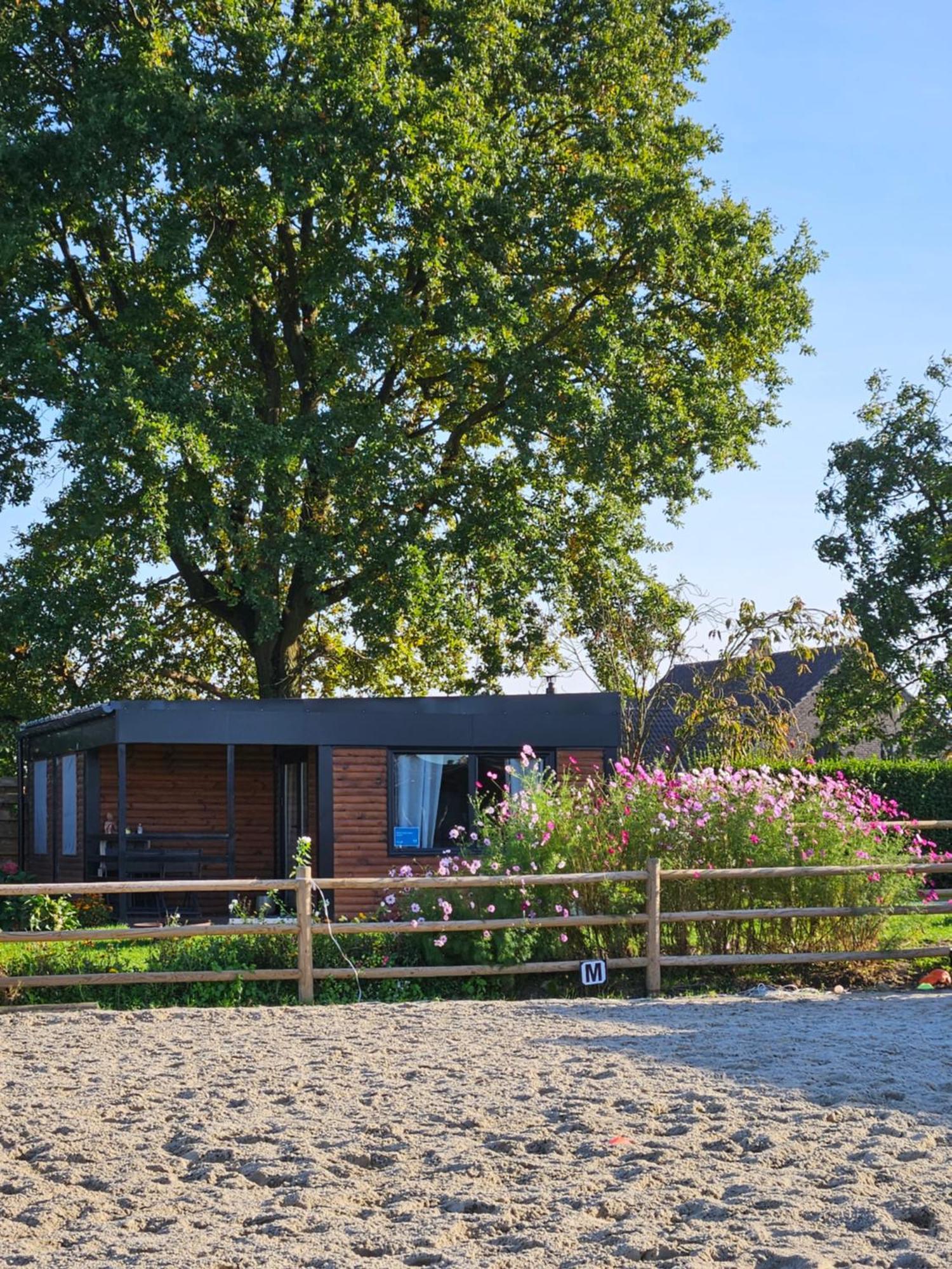 Houten Huisje Tussen Paarden Nieuwerkerken Ngoại thất bức ảnh